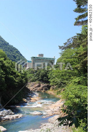 春の鬼怒川温泉（鬼怒川の清流） 40962530