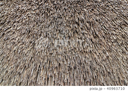 Texture of the reed roof 40963710