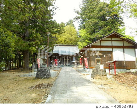 白鳥神社　社殿 40963793