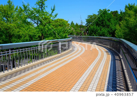 山下公園に渡る横断歩道橋 40963857