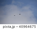 大空を飛ぶ鳥 40964675