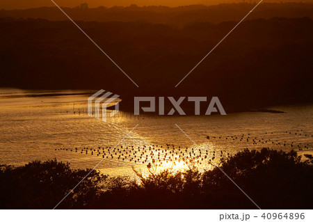 英虞湾の夕景 40964896