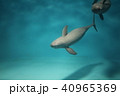白いクジラ 白いクジラ 40965369