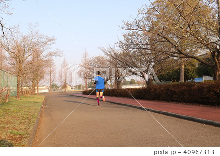 石岡市運動公園 40967313