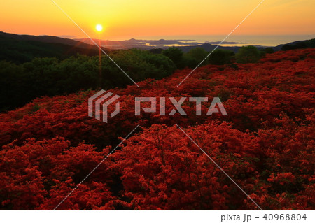 気仙沼 新緑の徳仙丈山 気仙沼 新緑の徳仙丈山 40968804