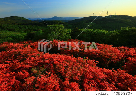 気仙沼 新緑の徳仙丈山 気仙沼 新緑の徳仙丈山 40968807