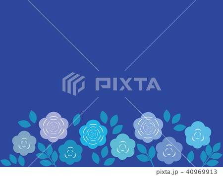 薔薇 40969913