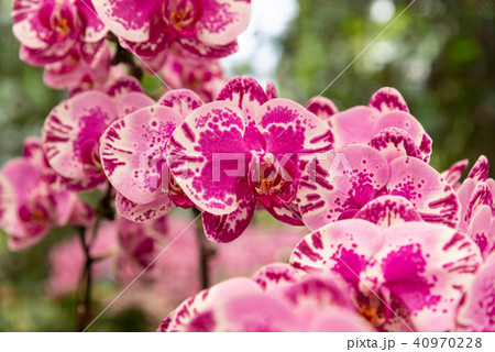 背景 バックグラウンド バックグランド 40970228