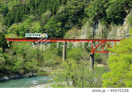 真っ赤な鉄橋を渡る越美北線の小型気動車 40970288