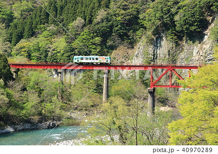 真っ赤な鉄橋を渡る越美北線の小型気動車 40970289