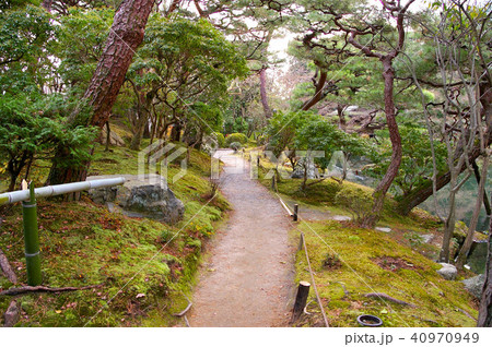 白沙村荘庭園 40970949