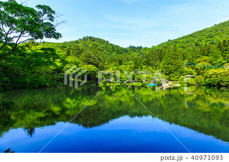 新緑の白雲の池 【長崎県雲仙市】 新緑の白雲の池 【長崎県雲仙市】 40971093