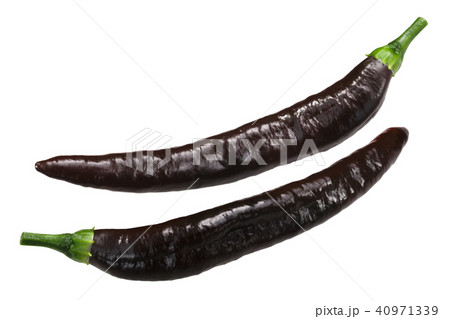 Pasilla Chilaca chile peppers Pasilla Chilaca chile peppers 40971339
