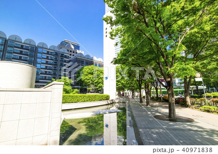 緑の多いオフィス街の風景 緑の多いオフィス街の風景 40971838