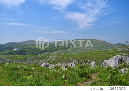 秋吉台　西の西山　龍護峰 40972306