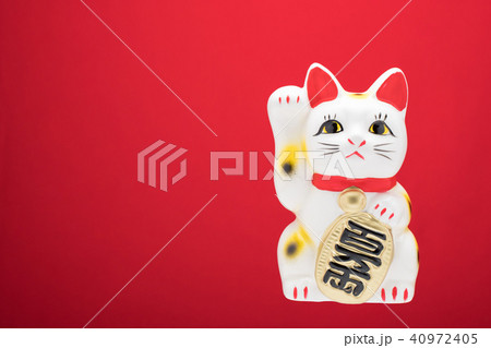 招き猫 招き猫 40972405