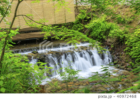 貴船　新緑　川床 40972468