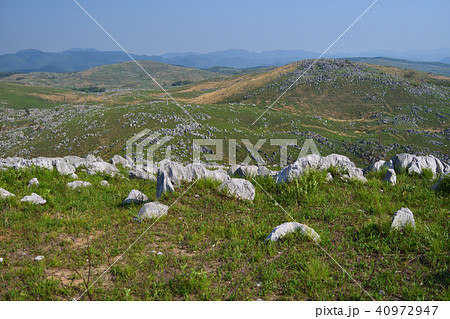 秋吉台 冠山 秋吉台 冠山 40972947