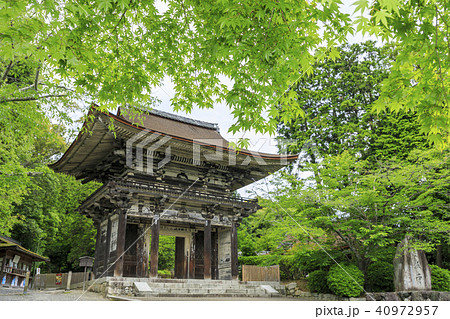 三井寺 新緑 三井寺 新緑 40972957