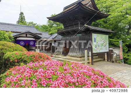 三井寺 新緑 三井寺 新緑 40972986