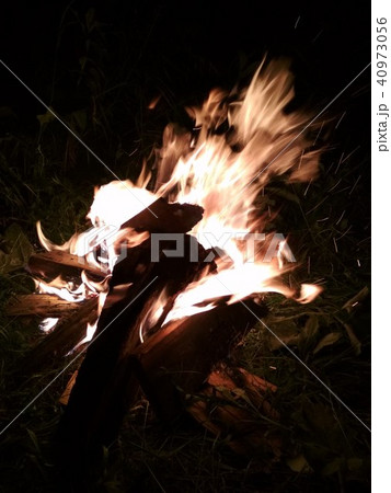 Coals of a campfire in the forest. 40973056