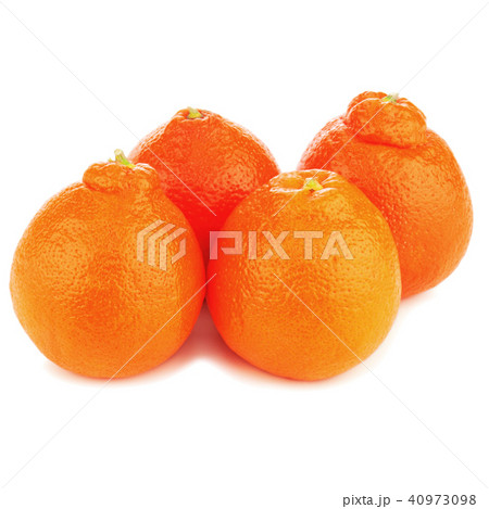 Ripe mineola fruits isolated on white background. 40973098