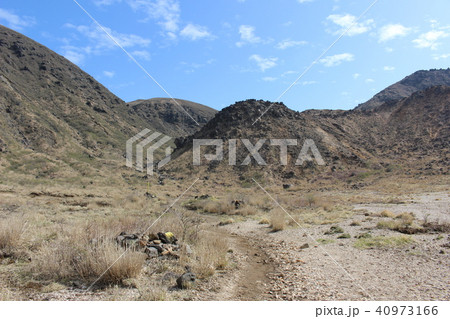 北千里浜／阿蘇くじゅう国立公園 40973166