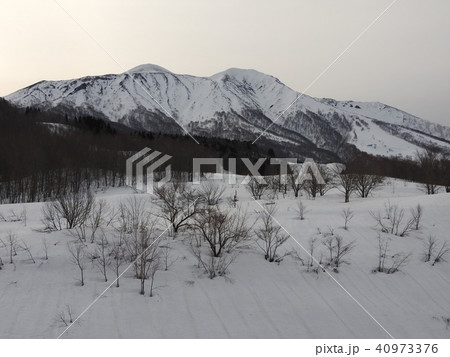 温泉郷にあってダントツの一番人気なのがこの鶴の湯温泉で、日本一予約が取りにくい宿として知られる。 40973376