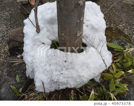 温泉郷にあってダントツの一番人気なのがこの鶴の湯温泉で、日本一予約が取りにくい宿として知られる。 40973378