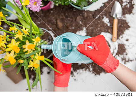 Photo of soil, watering can,, human hands in red rubber gloves watering flowers 40973901