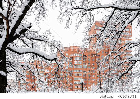 view of house through snow-covered branches 40975381