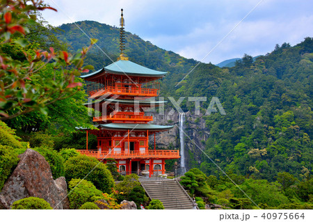 熊野那智大社 三重塔と那智の滝が造り出す威風堂々とした風景 ３ の写真素材