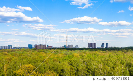 above view of green forest near city in summer 40975801