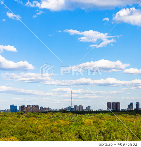 residential district under blue sky near forest 40975802