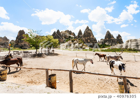 horse paddock near Goreme town in Cappadocia 40976305