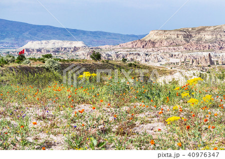 mountain landscape and flowering meadow in spring 40976347