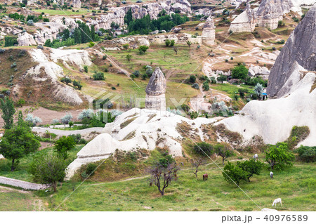 rural landscape with fairy chimney rocks in Goreme 40976589