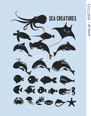 set of marine animals set of marine animals 40977253
