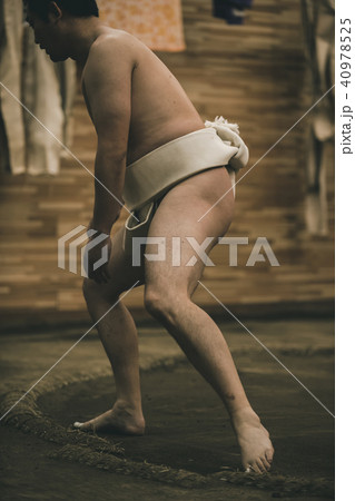 Sumo wrestling 40978525