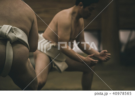 Sumo wrestling Sumo wrestling 40978565