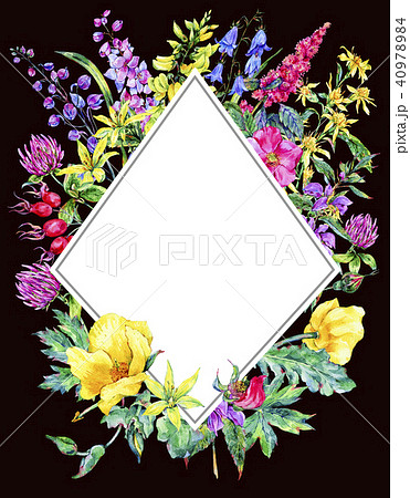 Watercolor summer medicinal floral vertical frame, Wildflowers plant 40978984