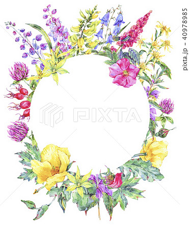 Watercolor summer medicinal floral round frame, Wildflowers plant 40978985
