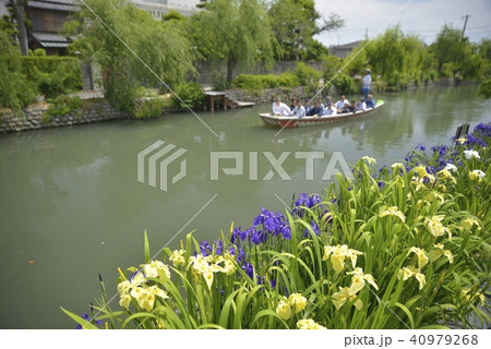 柳川市 風景 川下り 花菖蒲 柳川市 風景 川下り 花菖蒲 40979268
