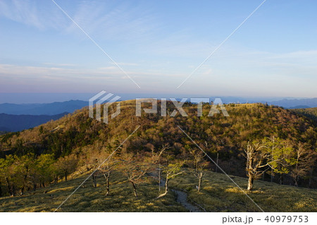 大台ケ原の朝 40979753
