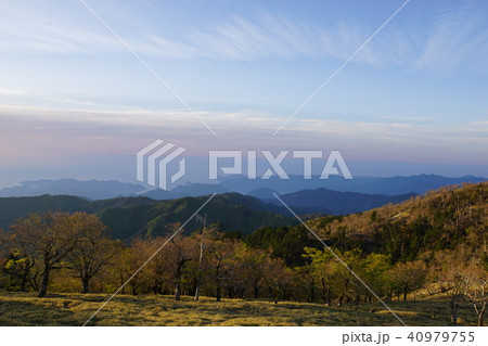 大台ケ原の朝 40979755
