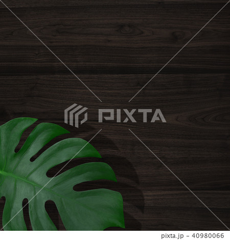 背景-植物-木目-壁 40980066
