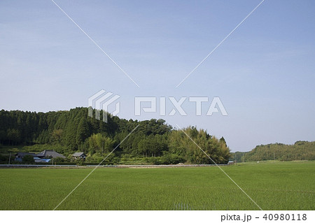 千葉県茂原市 5月 千葉県茂原市 5月 40980118