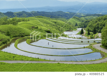 熊本県阿蘇郡産山村 扇棚田 40980525