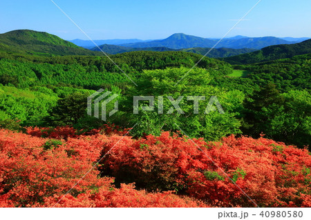 気仙沼 新緑の徳仙丈山 気仙沼 新緑の徳仙丈山 40980580