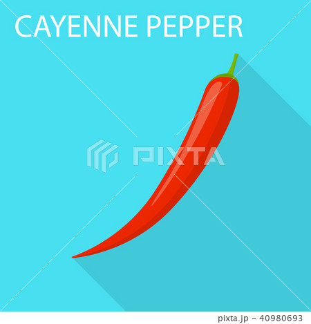 Cayenne pepper icon, flat style 40980693